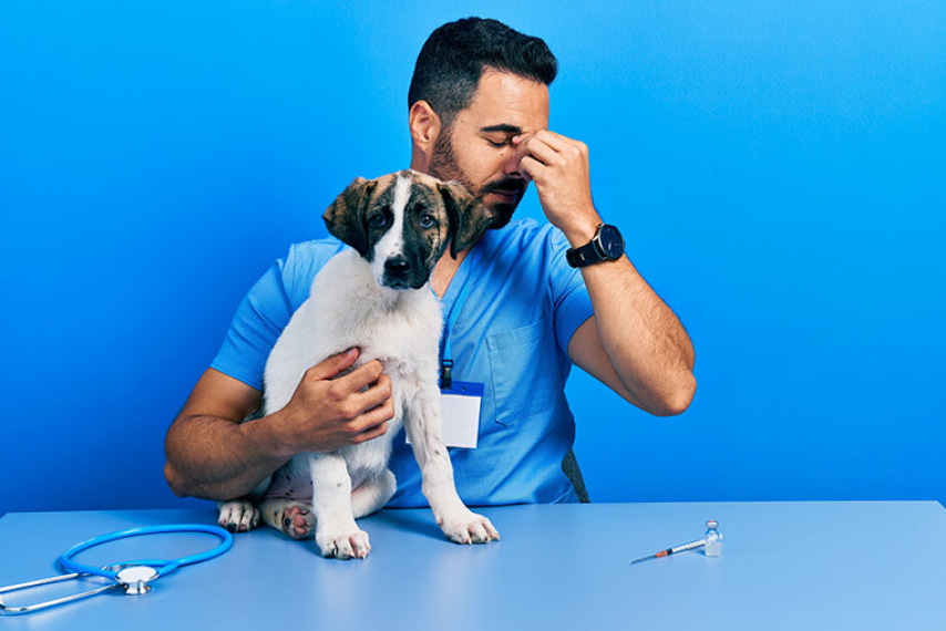 Fostering a Healthy Culture in Your Veterinary Practice