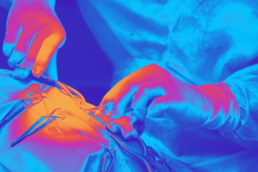 The Shortage of Veterinarians in the US: Challenges for Veterinary Offices 